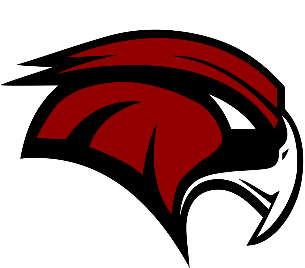 hawk logo