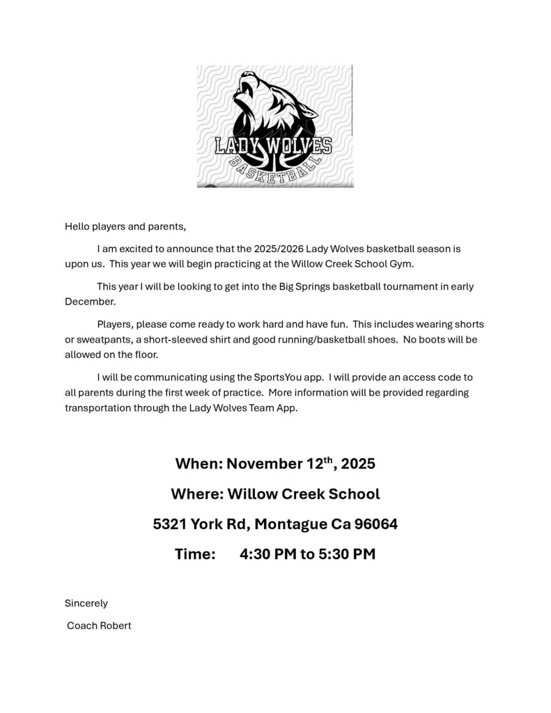 Girls Basketball Flyer