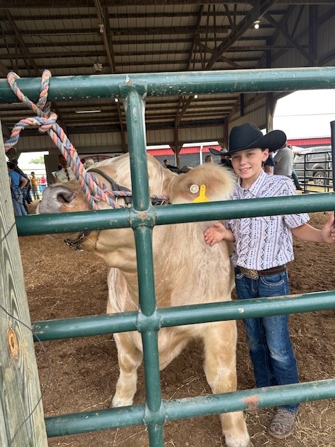 Student with Cow