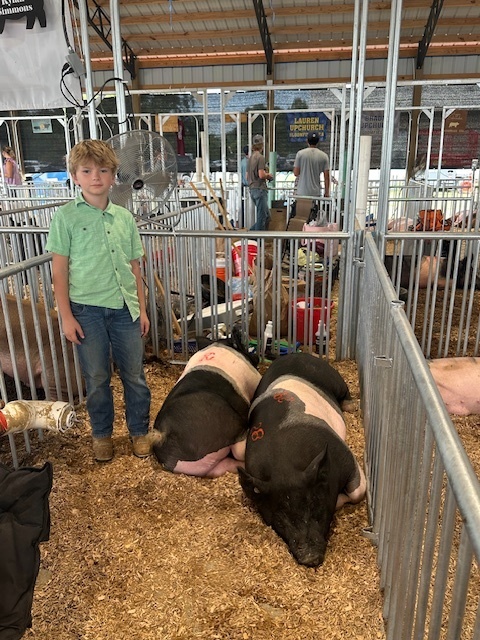 Young student with pigs