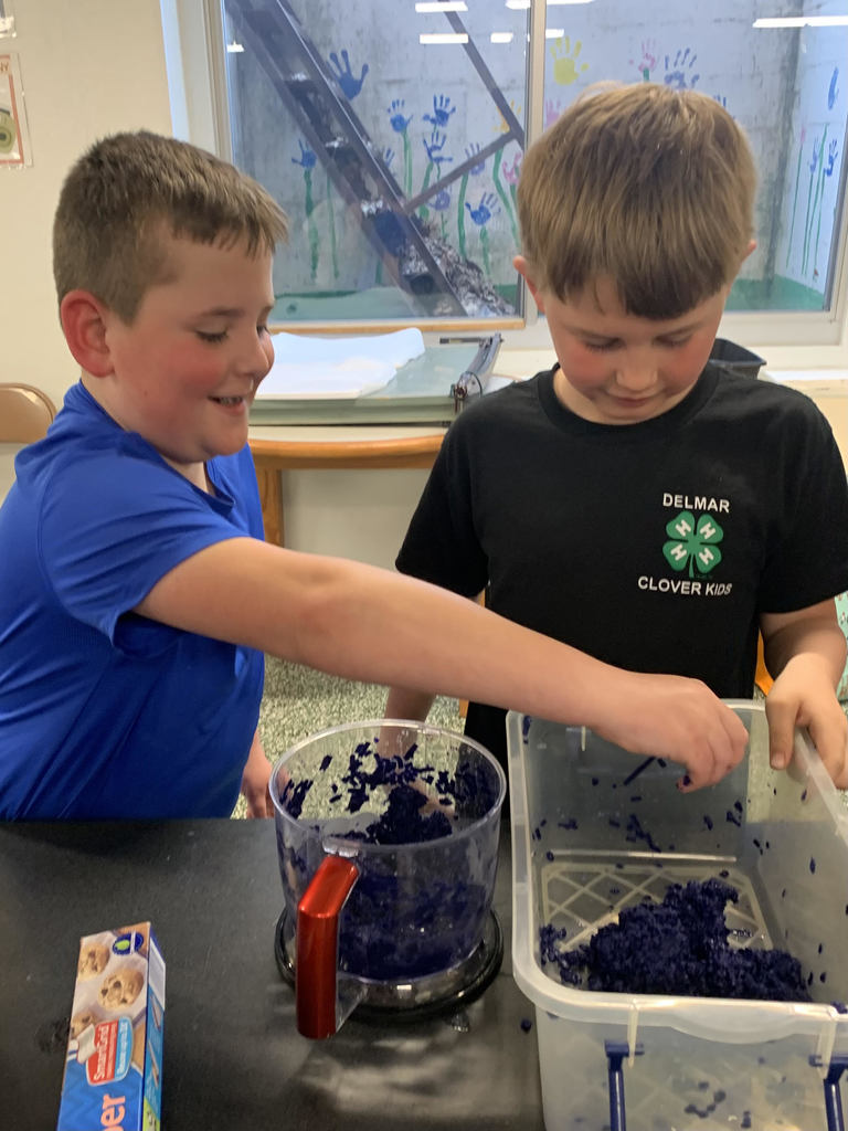 2nd grade earth day