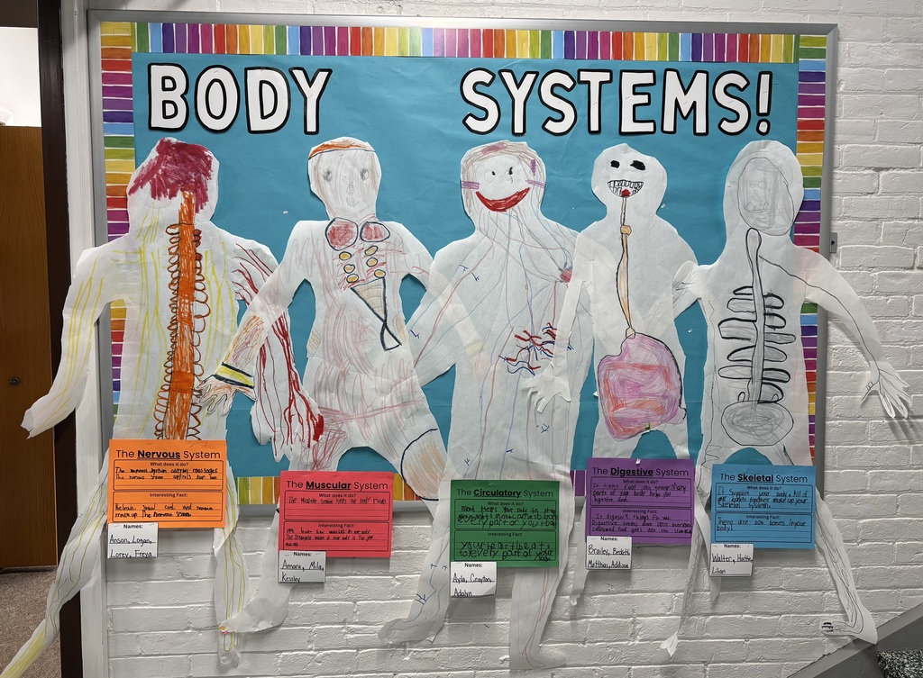 Body systems