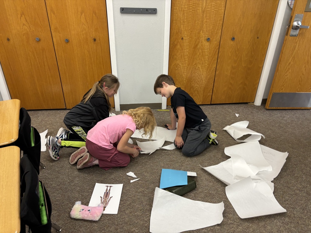 first grade body systems