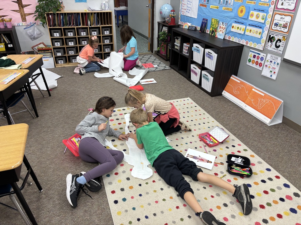 first grade body systems