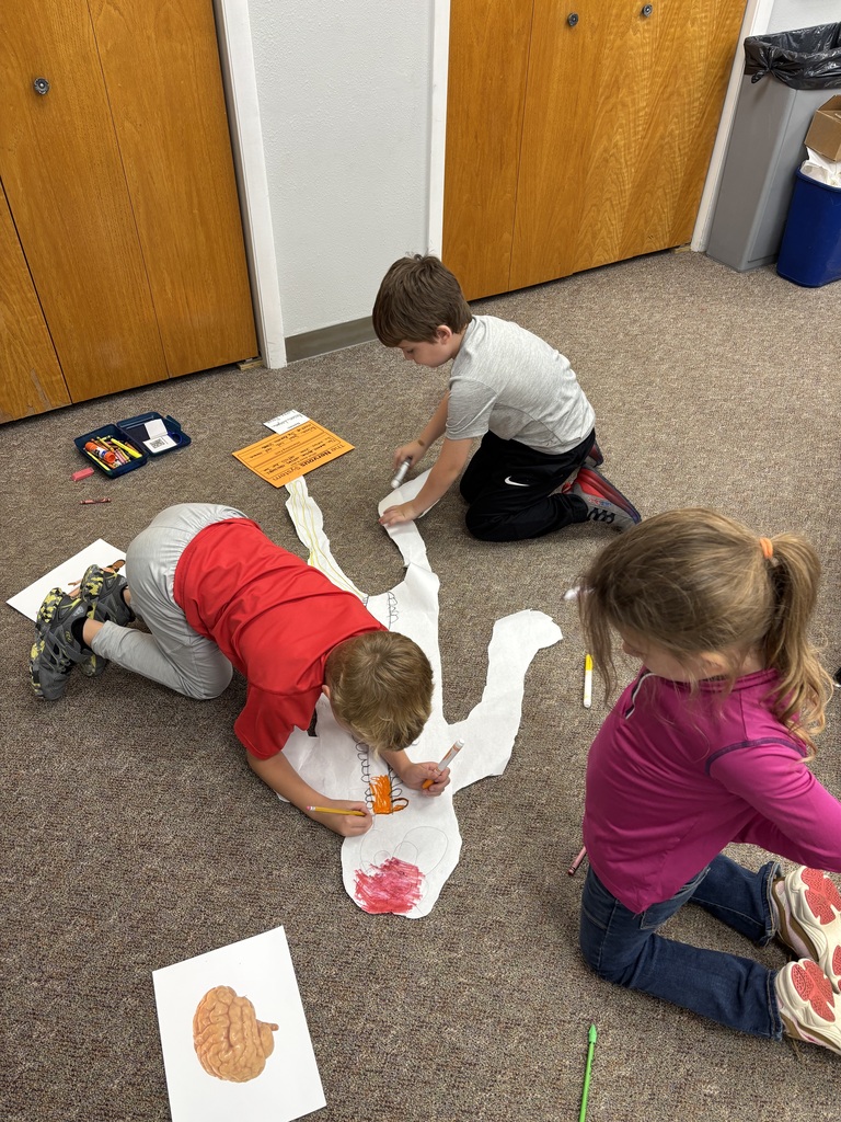 first grade body systems