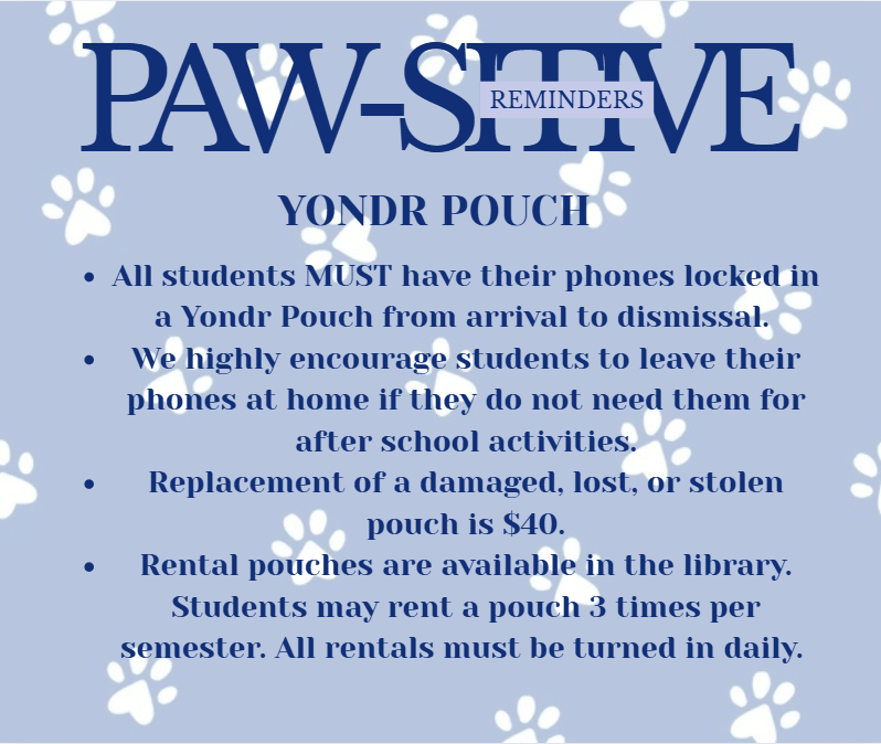 Pawsitive #2