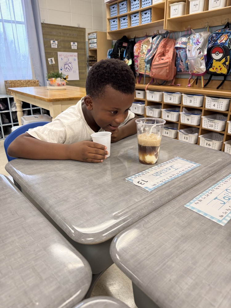 Coke Float Experiment