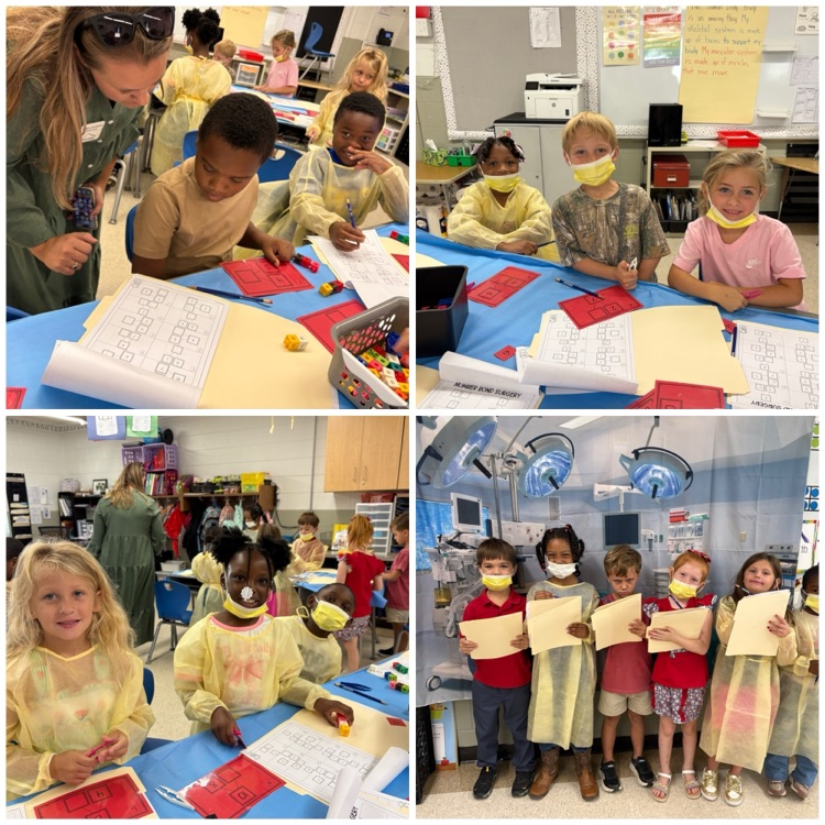 1st Grade
