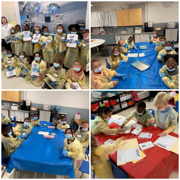 1st Grade