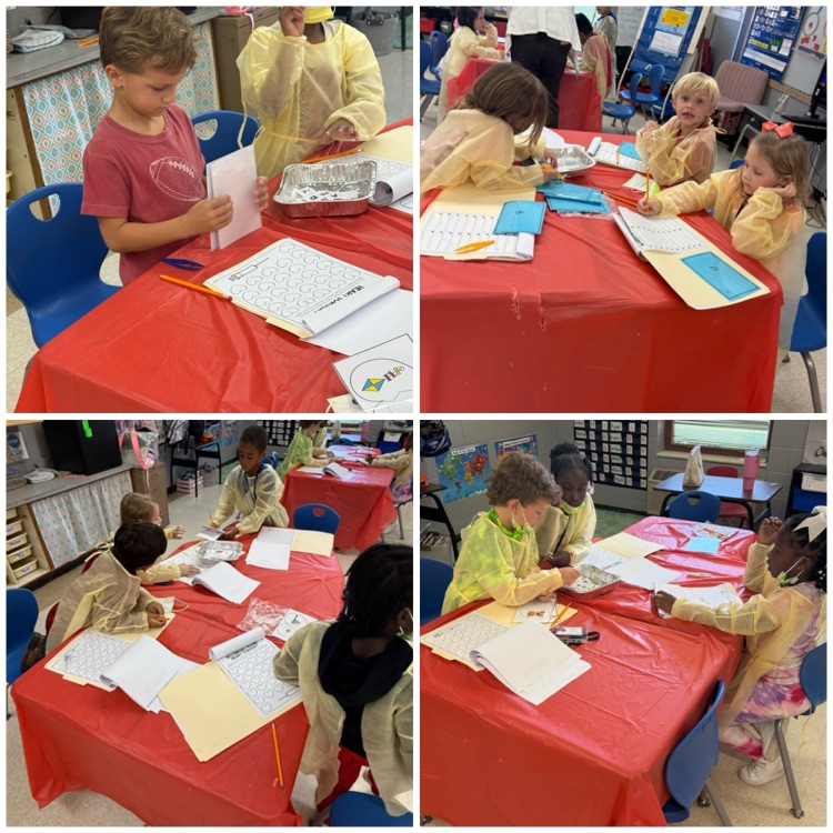 1st Grade