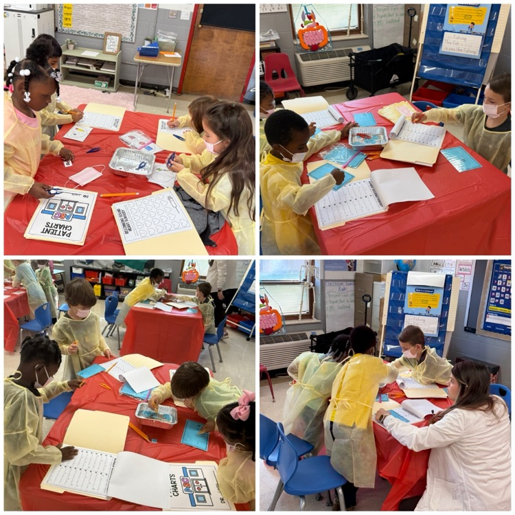 1st Grade