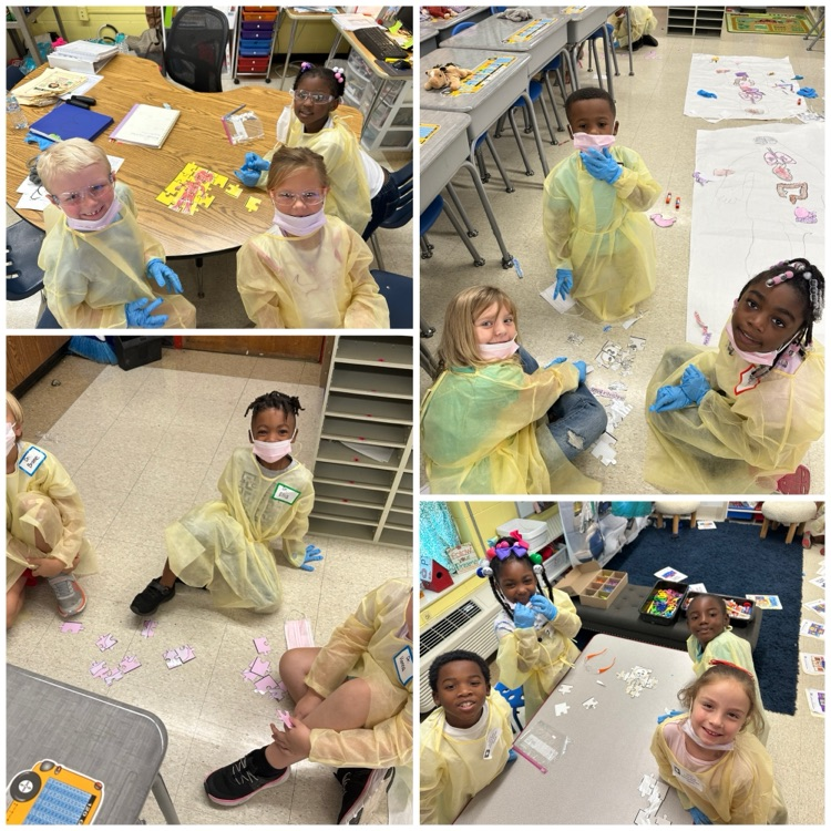 1st Grade