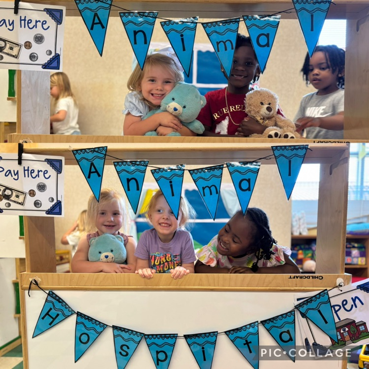 Pets- PreK