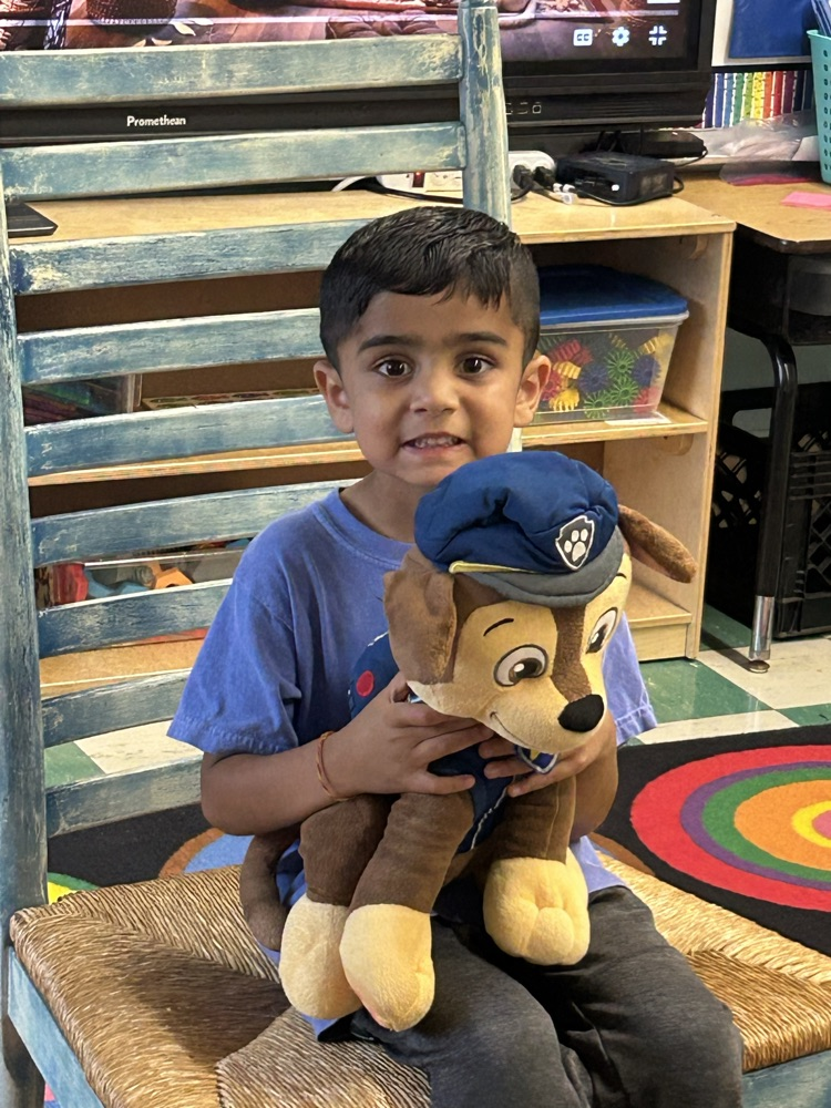Pets- PreK