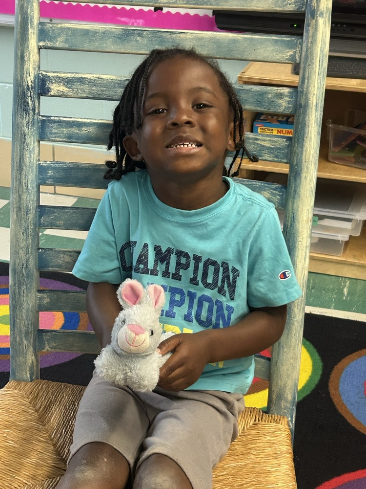 Pets- PreK
