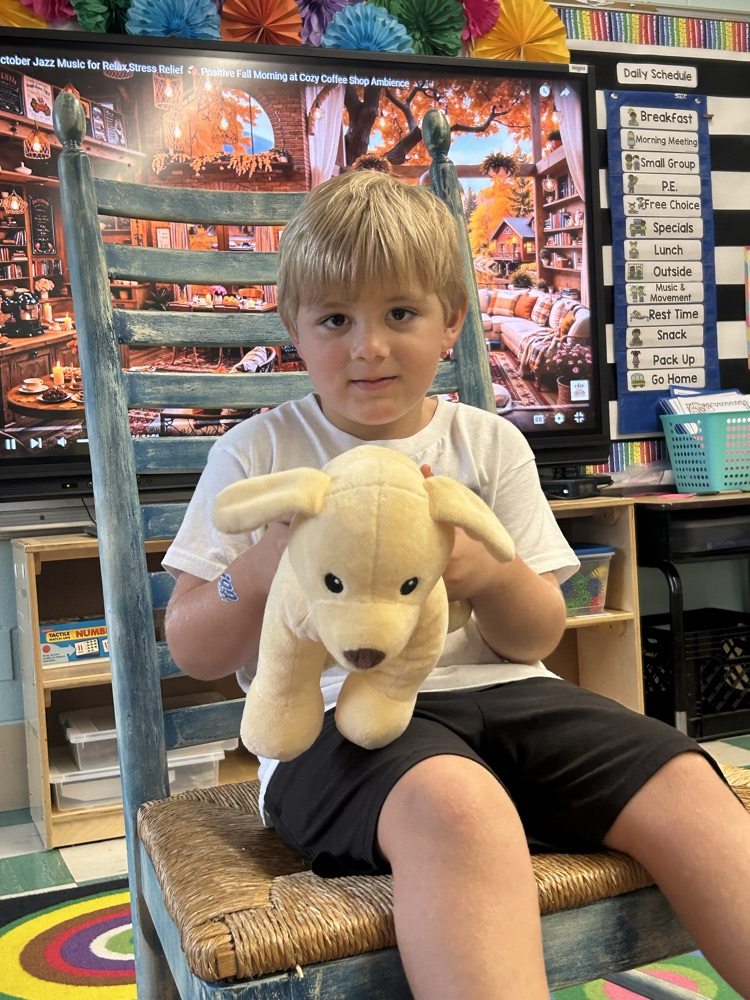 Pets- PreK
