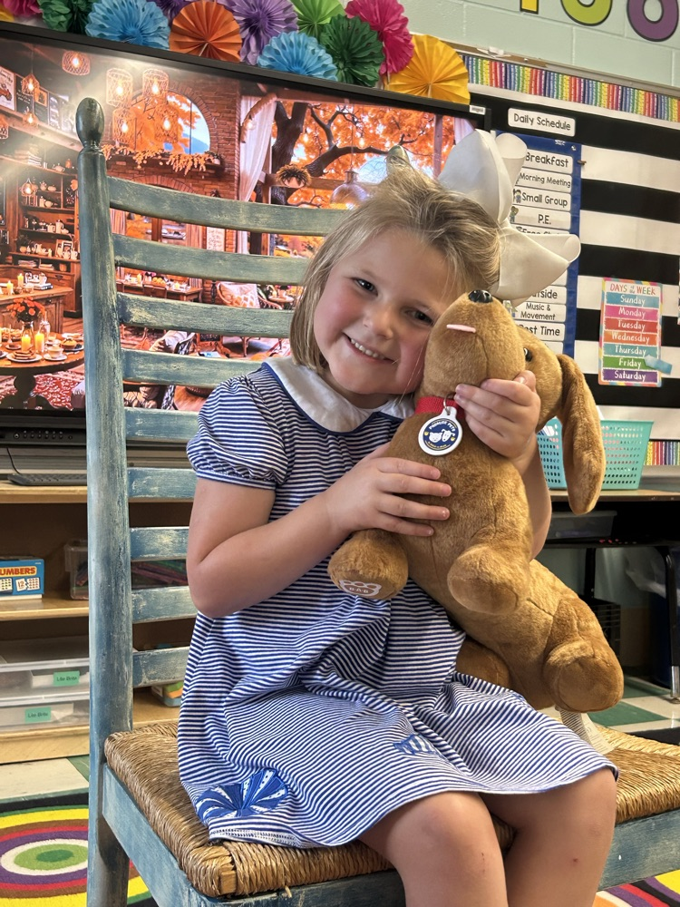 Pets- PreK