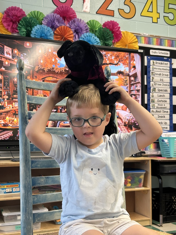 Pets- PreK