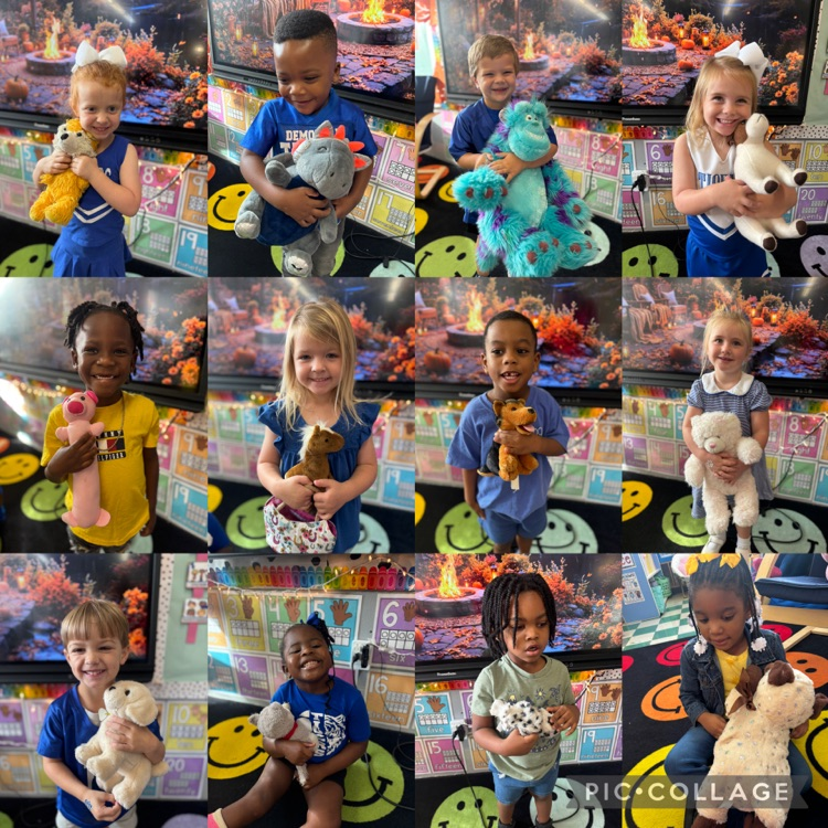 Pets- PreK