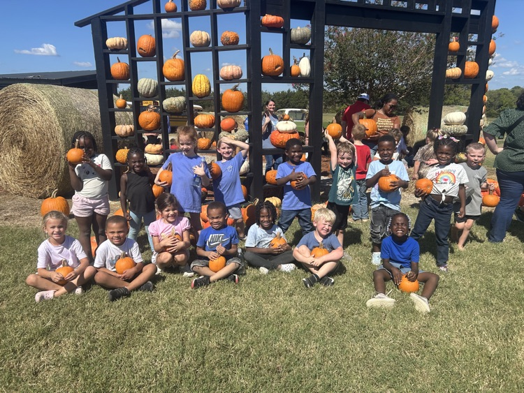 Pumpkin Patch