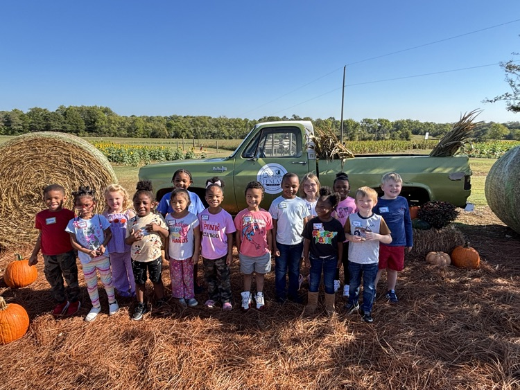 Pumpkin Patch
