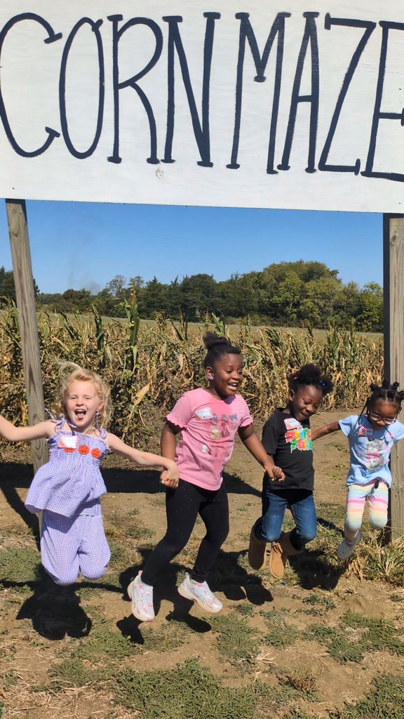 Pumpkin Patch
