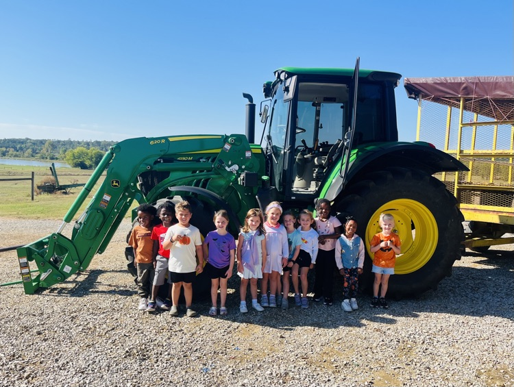 Pumpkin Patch