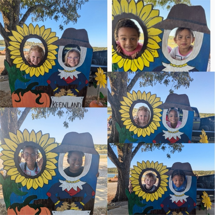 Pumpkin Patch