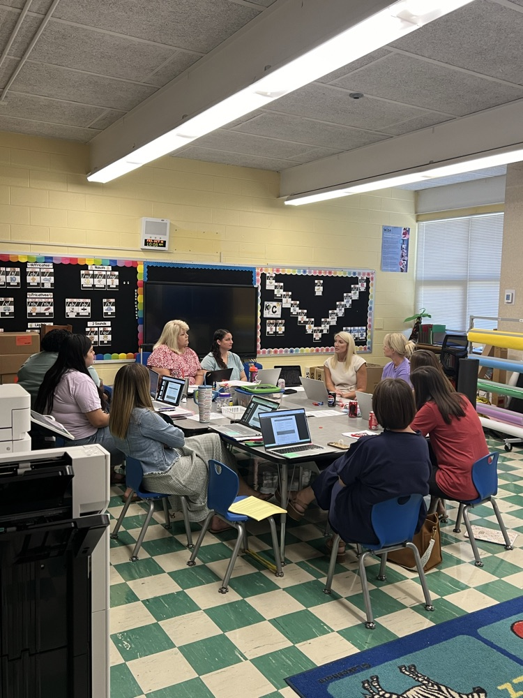 Professional Development