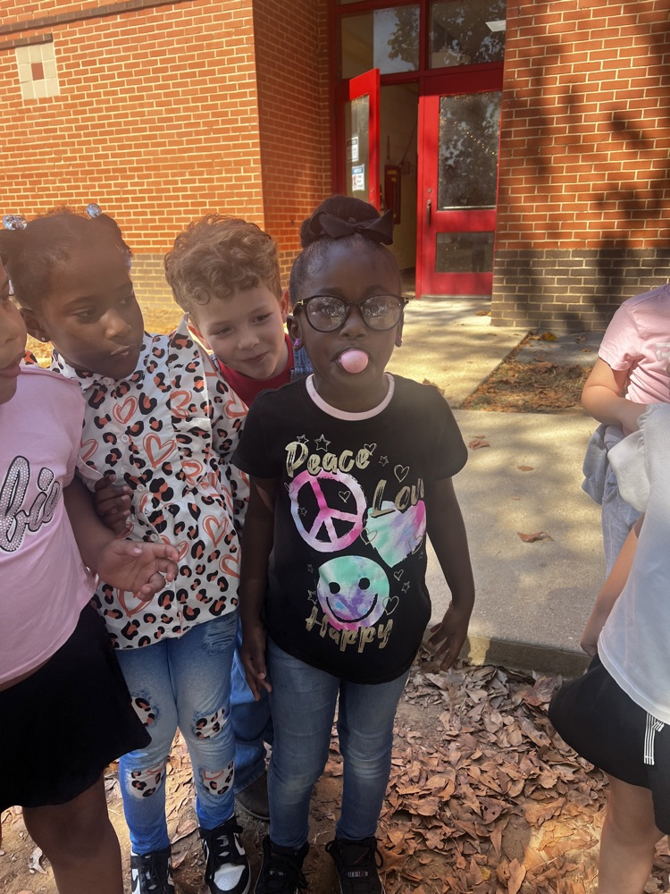 50 Days of School