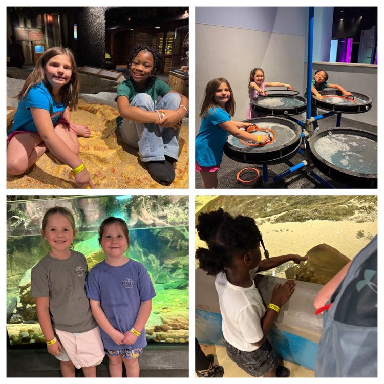 1st grade field trip