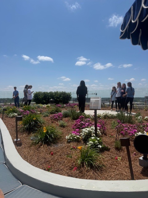 Auburn Field Trip
