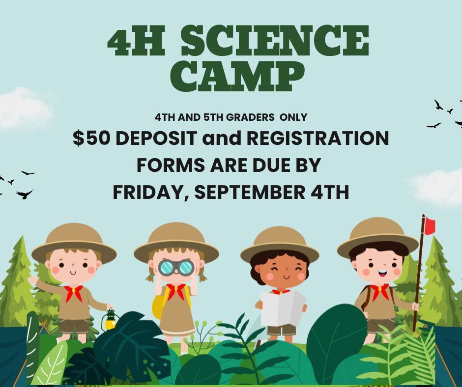 4h camp