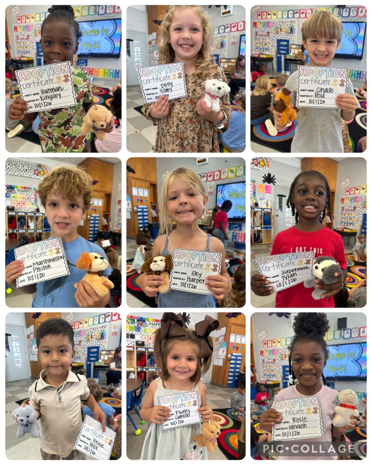Pre-K Meadows