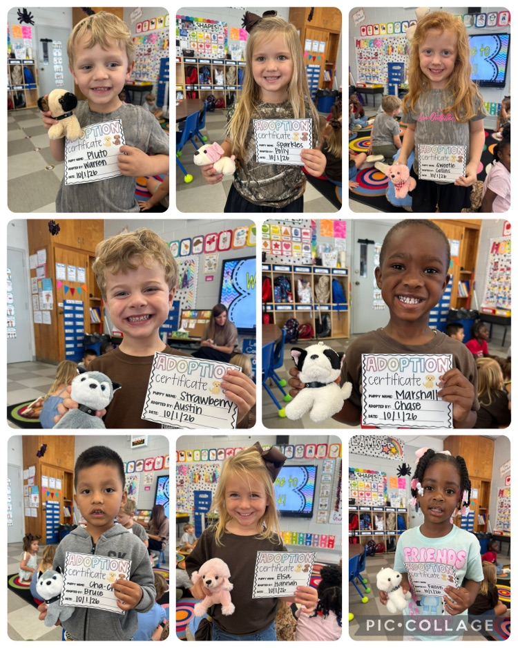 Pre-K Meadows