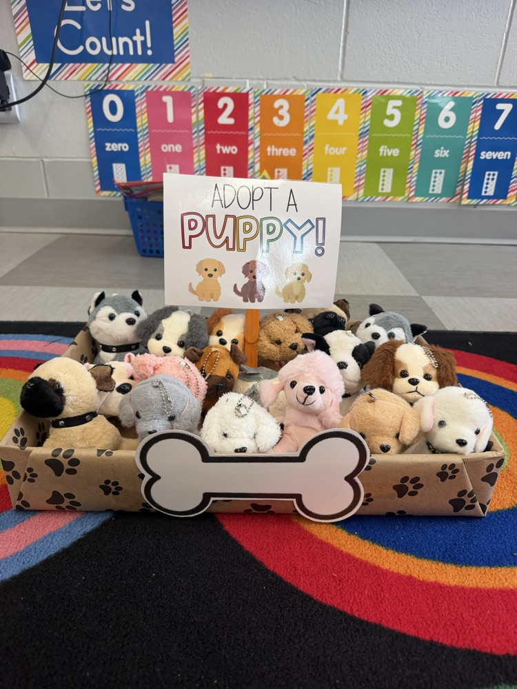 Pre-K Meadows