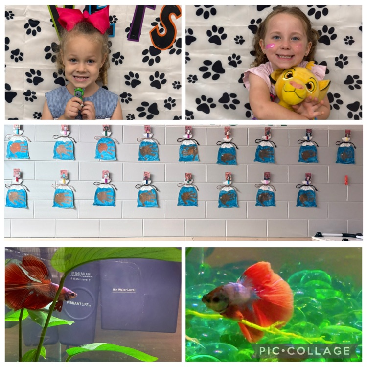 PreK-Bryant