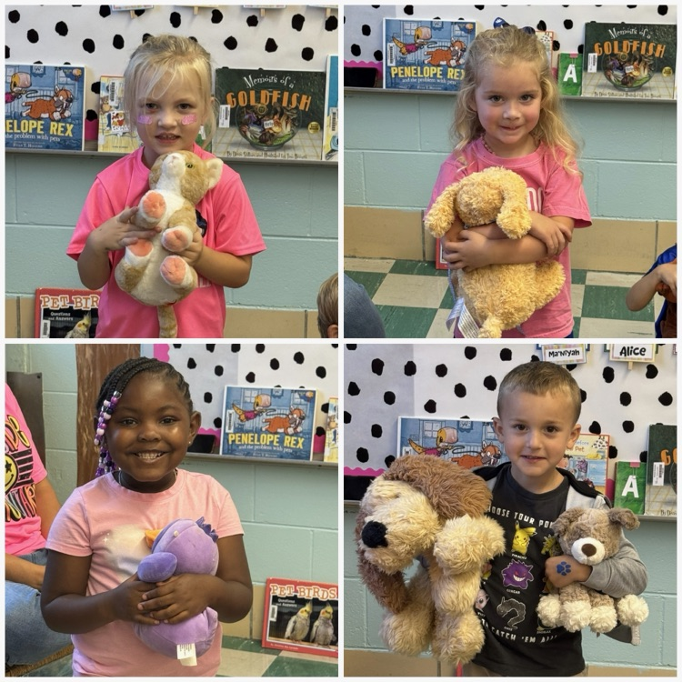 PreK-Stokes