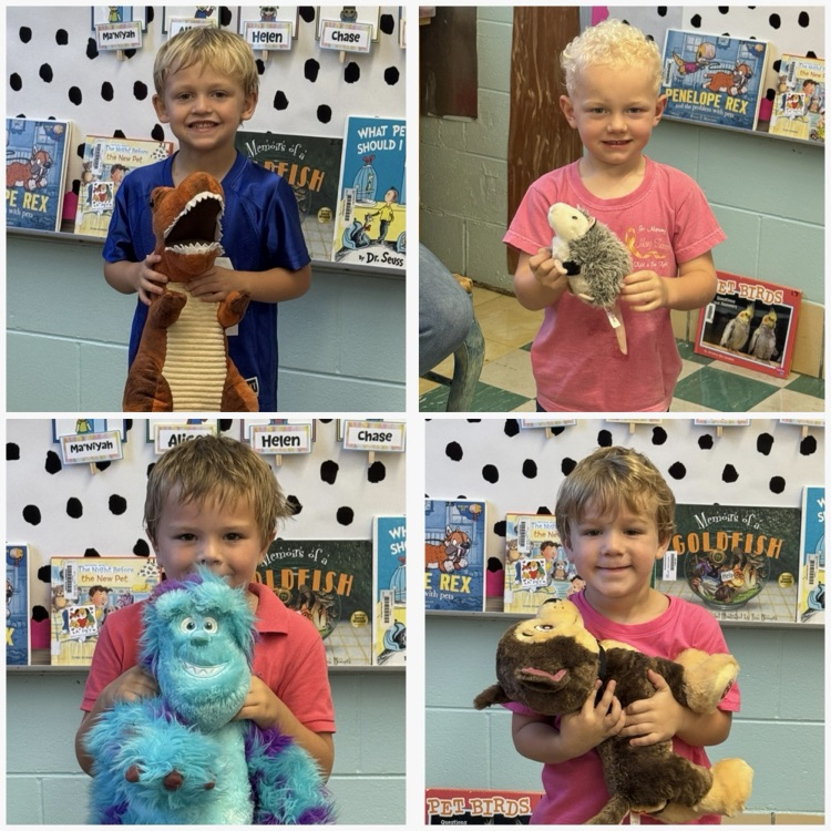 PreK-Stokes