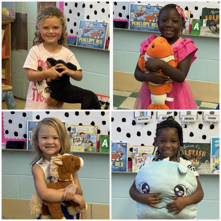 PreK-Stokes