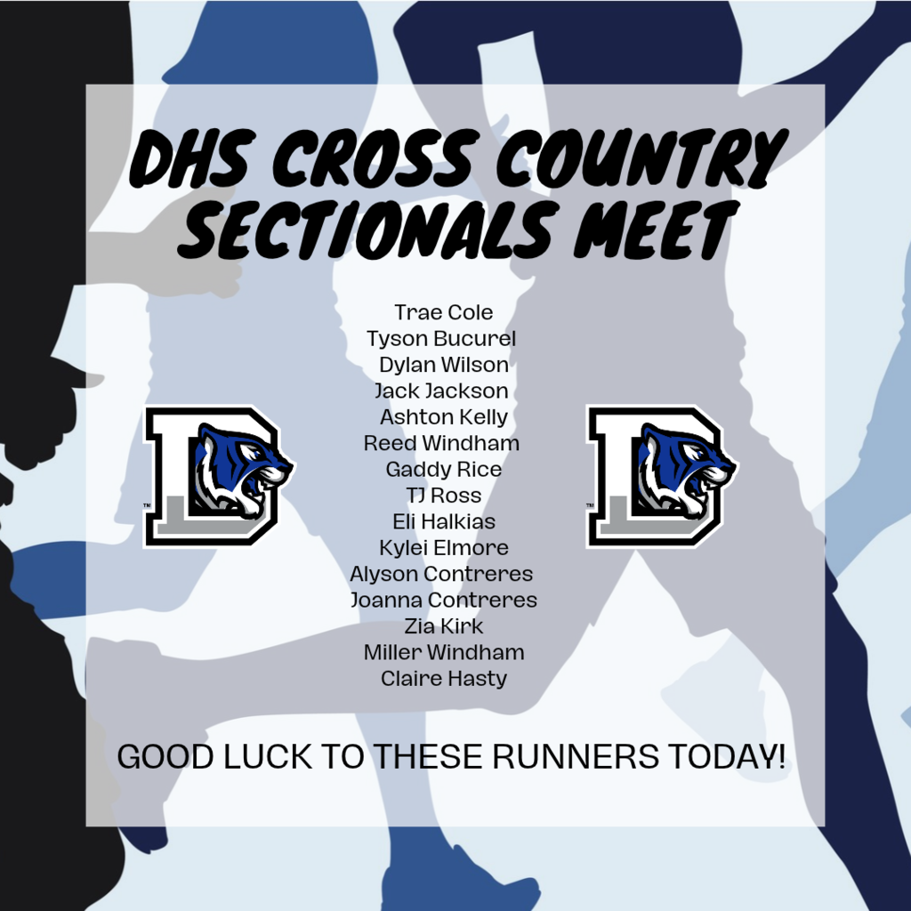DHS Cross Country