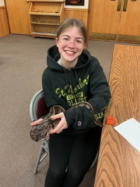 "Greta" the ball python