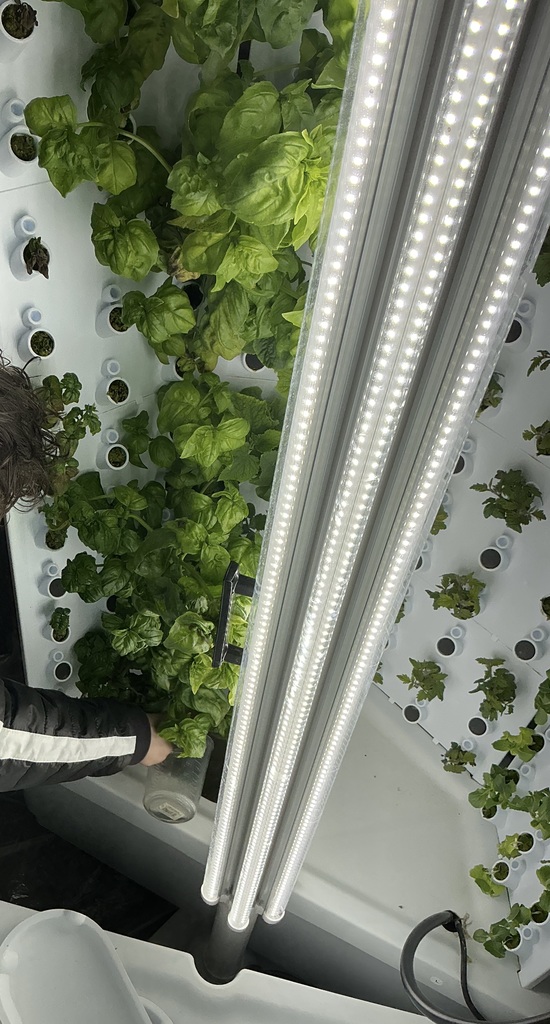 Hydroponics system
