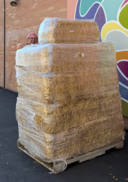 Person hiding behind pallet of hay