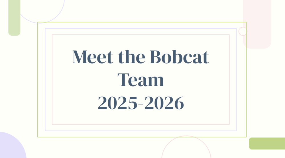 Meet the Bobcat Team