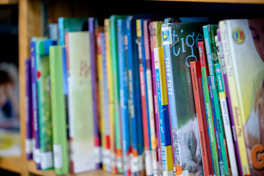 books lined up on a shelf