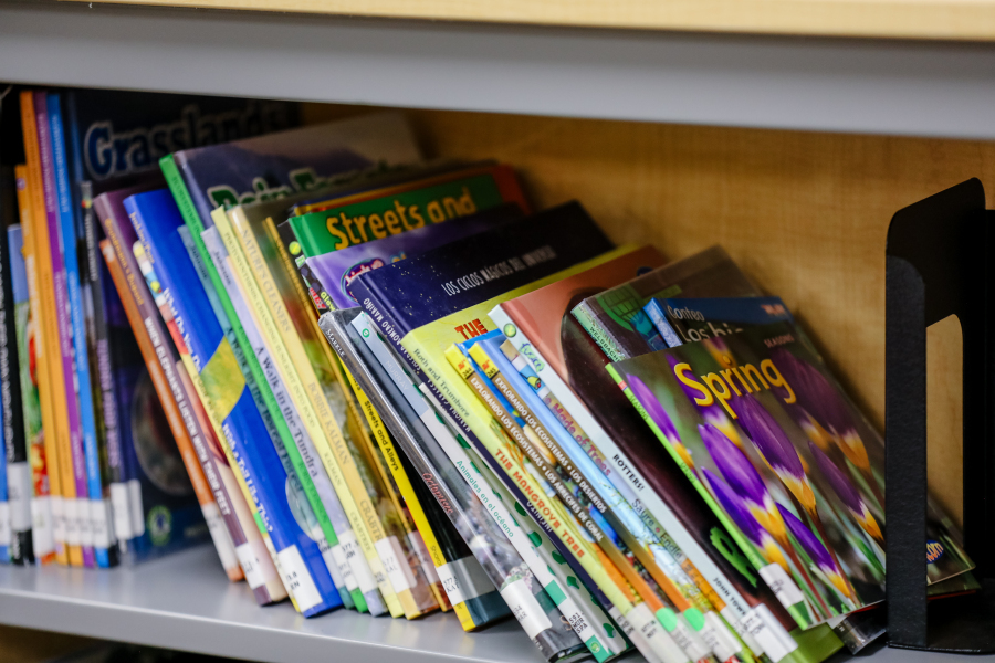 Books in a bookshelf 