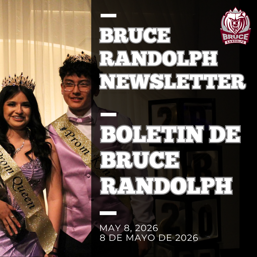 Bruce Newsletter