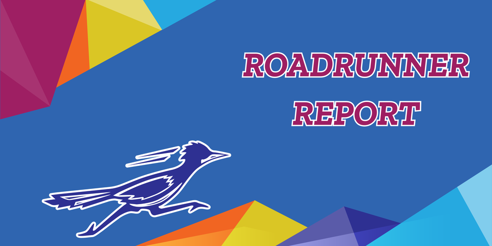Roadrunner Report Header
