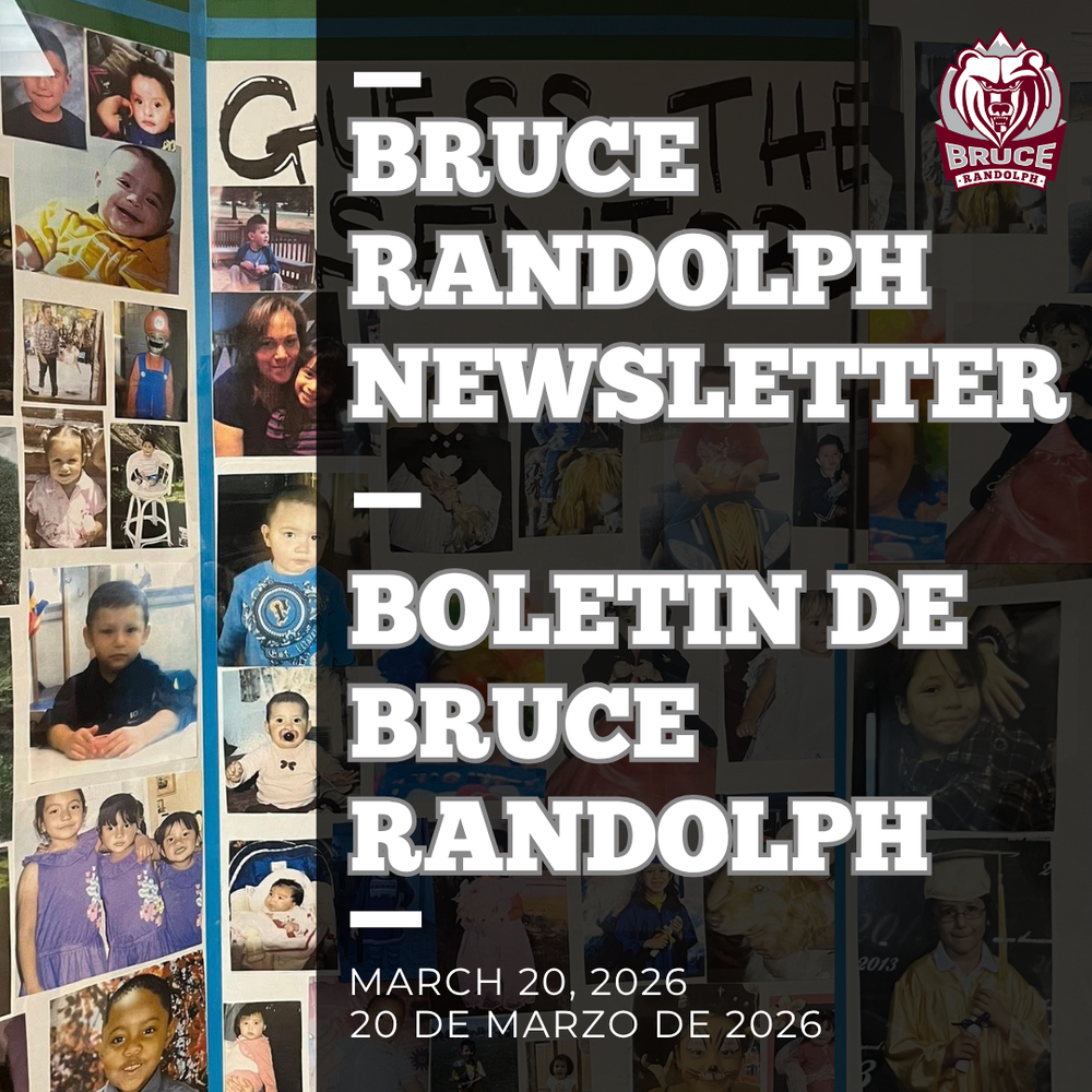 Bruce Newsletter